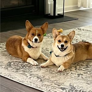 Meet your Posher, Kristin